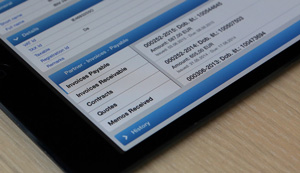 IMiS DMS Mobile showing embedded views