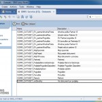 IMiS DMS Mobile Service - Datasets configuration